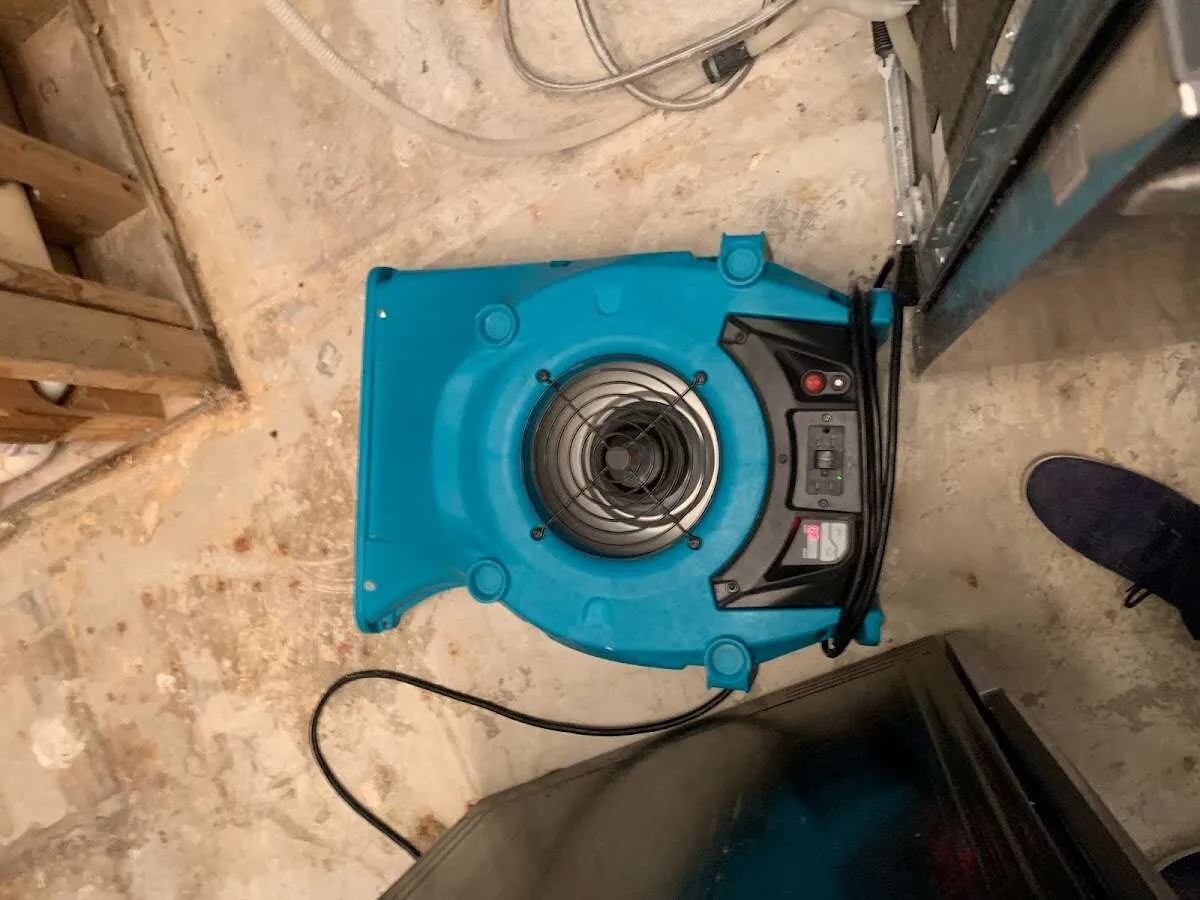 Air mover drying equipment for Mold Remediation & Removal in Prairie Grove